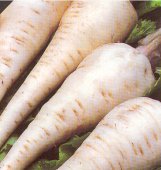 are parsnips good for you